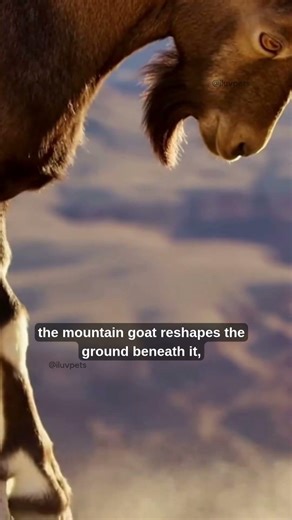 Edge of Control The Cliff Keeper