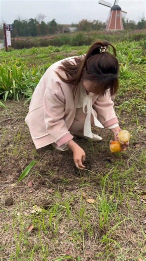 The jelly that fell down was buried and it actually grew back? #funny#viral #squidgame