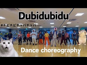 Dubidubidu- Christell- Easy Dance - #チピチピチャパチャパ #猫ミーム