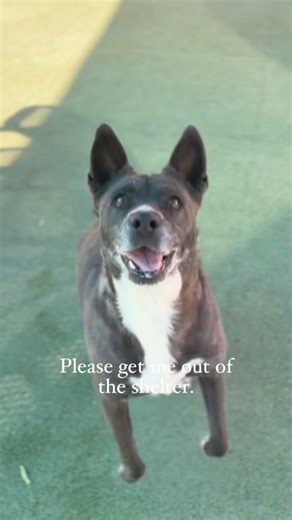 16K views · 316 reactions | Please don’t skip Azzy. We’ve posted her...