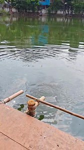 ঢাকা ইসলামপুর নবাব বাড়ির পুকুরে সৈয়দ সরফরাজ রসুল ভাইয়ের প্রথম পুরস্কারের ব্লাক কাপ মাছের ভিডিও আগামী খেলা অনুষ্ঠিত এই মাসের ২৪ ২৫ তারিখ #dhaka #fishingtrip #fishingtime #কেরানীগঞ্জ #dhakacity #ইসলামপুর | Angler Rahel