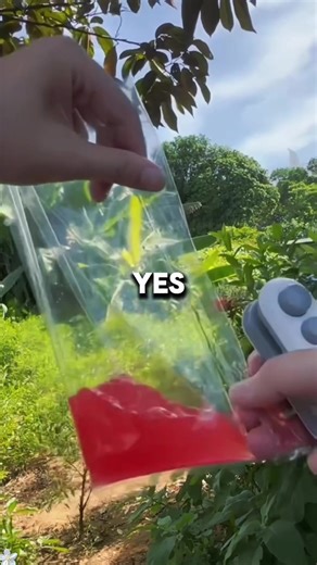 #texts #text #fyp #rizzapp #tiktok | text