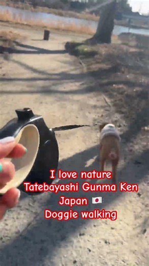 Kuro chan Doggie lovers#doggie #doggielife #puppy #animals #japan