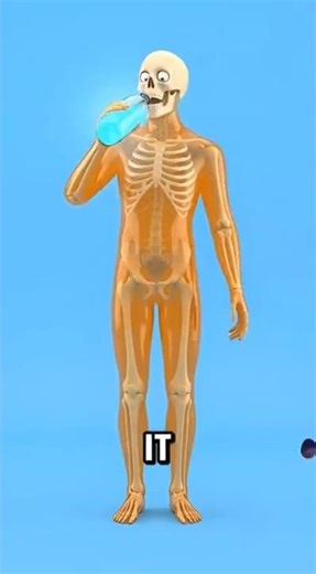 How Fast Dehydration Starts Killing Cells 💀🤔