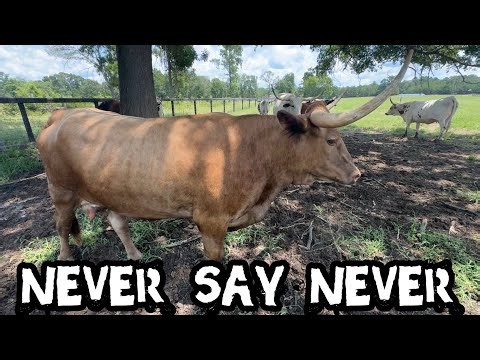 Could Ruby Sue STILL Be Pregnant?