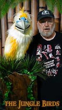 SYDNEY has a touch of insomnia The Jungle Birds Axtell Expressions puppets comedy ventriloquist show