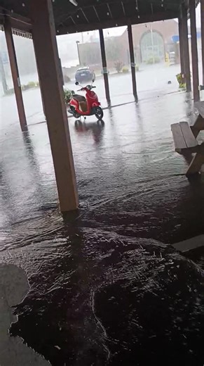 Nope | David Gregory