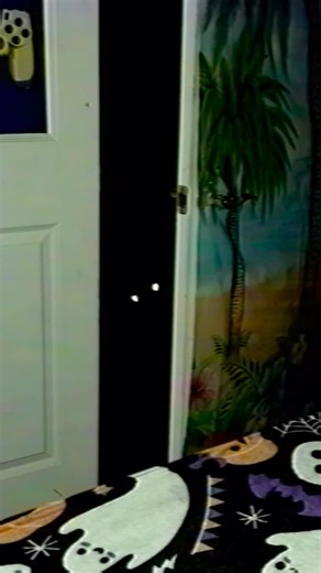 Scream1210 | It was something else . . . . . #reelitfeelit #scary #jumpscare #creepy #creepypasta #nightmarefuel #spooky #terrifying #paranormal #ghost... | Instagram