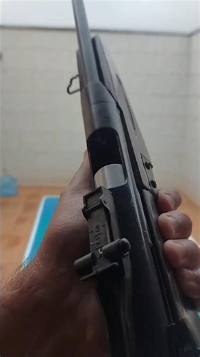 BB gun/pellet gun for hunting#airsoft #targetshooting