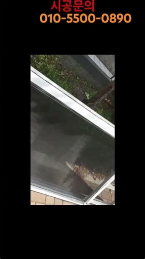 On-site Video 4370) Replacing Window Screens with Fine Mesh #shorts