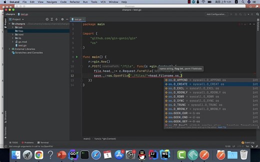 公开课:Gin模拟实现大文件上传、分片存储和分块显示