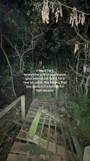 creepy facts… #creepyfacts #horror #creepy #horrortok | facts