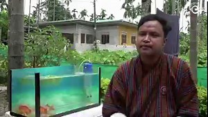 56K views · 1.3K reactions | Since its introduction in the early...