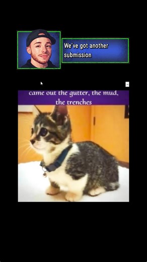 feel free to share your thoughts!