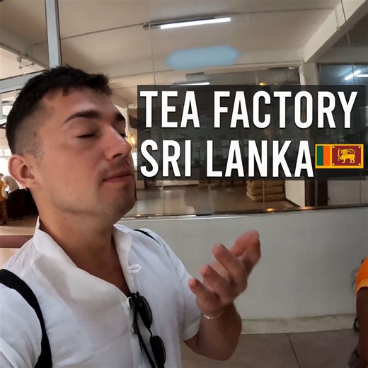 Foreigner visits a Sri Lankan tea factory 🇱🇰 | World Nomac