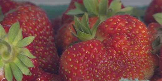Investigation finds concerning levels of pesticide in fruits and vegetables