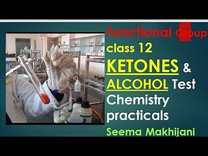 Functional group Test for Alcohol and Ketones by Seema Makhijani Class 12 Chemistry practicals