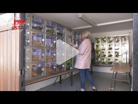 La vente directe via un distributeur... automatique