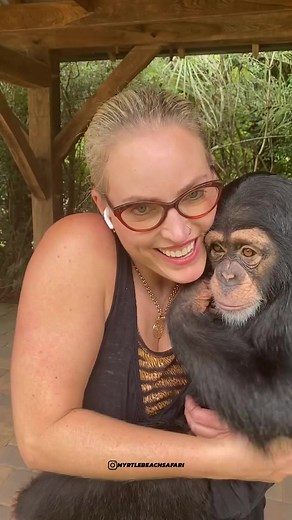 Angada loves to dance 🕺🏻 | Chimpanzee Show 01