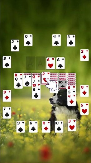 Spider Solitaire - Card Games