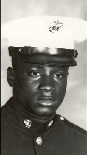 US Marine Corps Pfc Robert Jenkins: Vietnam War Medal of Honor Recipient