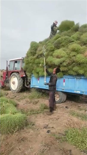 Amazing process of loading Tumbleweed！
