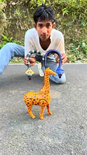 Notun 2 Ta Remote Control Snake And One Ta Giraffes ￼Unboxing Dise 👍