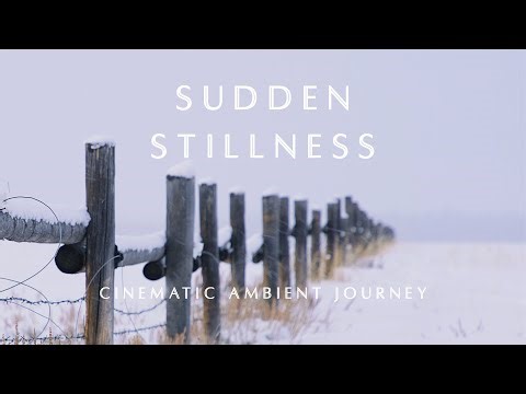 Sudden Stillness | Cinematic Ambient Soundscapes for Meditation & Serenity (4K)