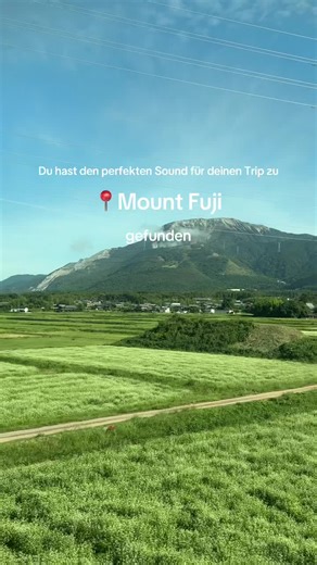 Unsere Abenteuer am Mt Fuji trotz Regen