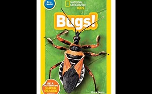 国家地理分级绘本阅读｜National Geographic Book Kids： Bugs