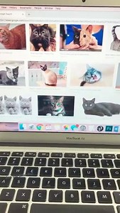 How could you? | Meme Center