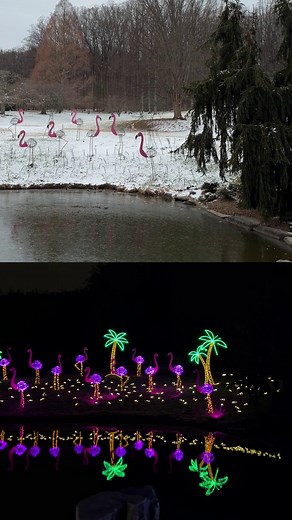 When the sun goes down, Garden of Lights transforms Brookside Gardens into a winter wonderland! Experience the magic in the gardens that happens when day turns to night for yourself; tickets are still available now through January 4. https://mocoparks.org/4hDdmik | Brookside Gardens, Montgomery Parks