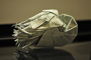 Origami - Nautilus