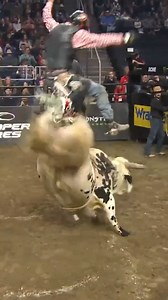 High flyin' off The Undertaker 💨 | PBR