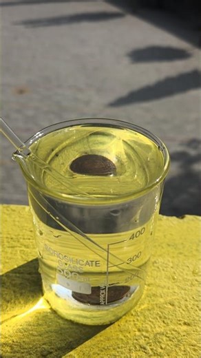 This Simple Physics Experiment Will Blow Your Mind 🤯 #shorts #shortsvideo #science