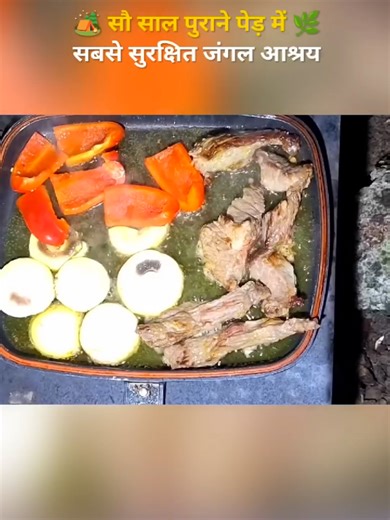 Hidden Underground Tree House Shelter Building Tips