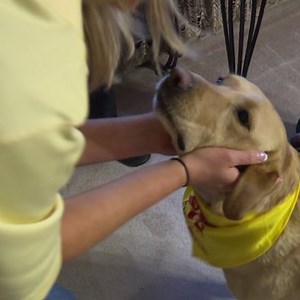 Nikki-Dee meets dog who can sniff out bed bugs