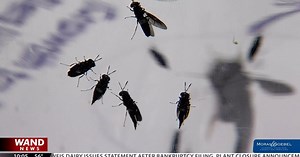 Innovfeed begins operations in Decatur