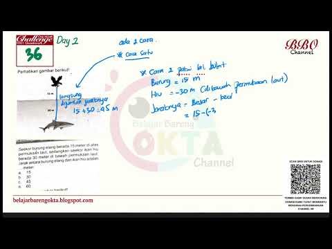 Solving Integer Word Problems: Distance Between Eagle & Shark | Math Tutorial