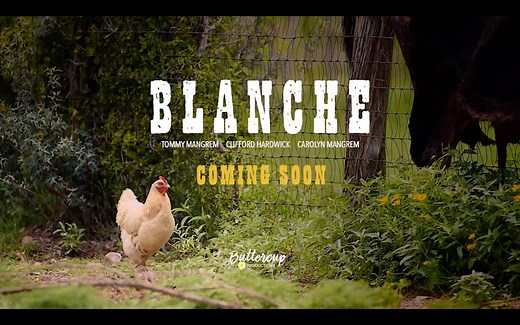 COMING SOON! Written by Fort Stockton native Sam Pfiester & directed by Twila LaBar, Blanche is a movie inspired by a true bet in West Texas. See three lifelong friends come together after one masterminds a crazy bet on a chicken to help his compadre realize there are second chances at life & love.​​​​​​​ | Blanche The Movie