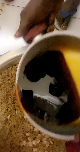 Mixing Beans and Grains: A Culinary Close-Up