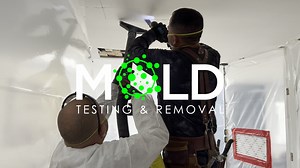 Need reliable mold inspection and removal services? We offer...