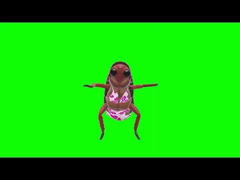 Dancing Sewer Cockroach Going Wild Green Screen 1 Hour