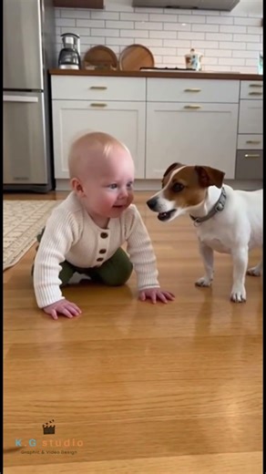 #cutebaby #puppy #fun #funny #فيديو_مضحك #dogshorts للكلاب مع الأطفال ردود فعلهم الطريفةK.G Studio