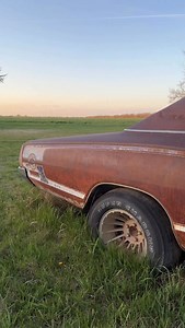 2026 is the year this 1970 Coronet Super Bee begins its journey back to the road. Originally a 383 4 speed…but it will get a 440 this time around. #superbee #dodgecoronet #coronet #mopar #bigblockmopar #moparornocar #moparmuscle #moparmusclecars #abandonedcar #abandonedcars #forgottencars #forgottencar #projectcar #projectcars #barnfind #barnfinds #fieldfind #survivor #garagefind | Kelsey Wayne