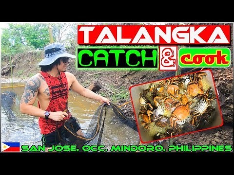 EP7 - Fresh Water Crab (Talangka) Catch and Cook