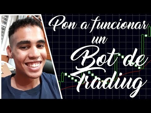 COMO PONER A FUNCIONAR UN BOT!! - MT5
