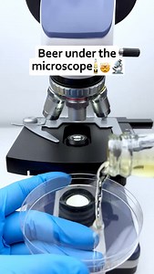 🍺 beer under a microscope!!!! | Awaken Supps
