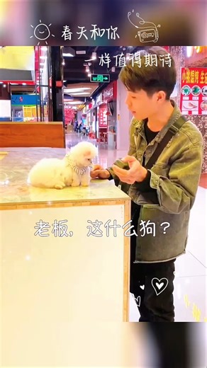 All My Pets, One Big Hug#Caught with a Handf..#All My Pets, One Big Hug#Caught with a Handful