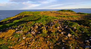 Hawaii Ecology: Creating A Seabird Sanctuary (PBS)